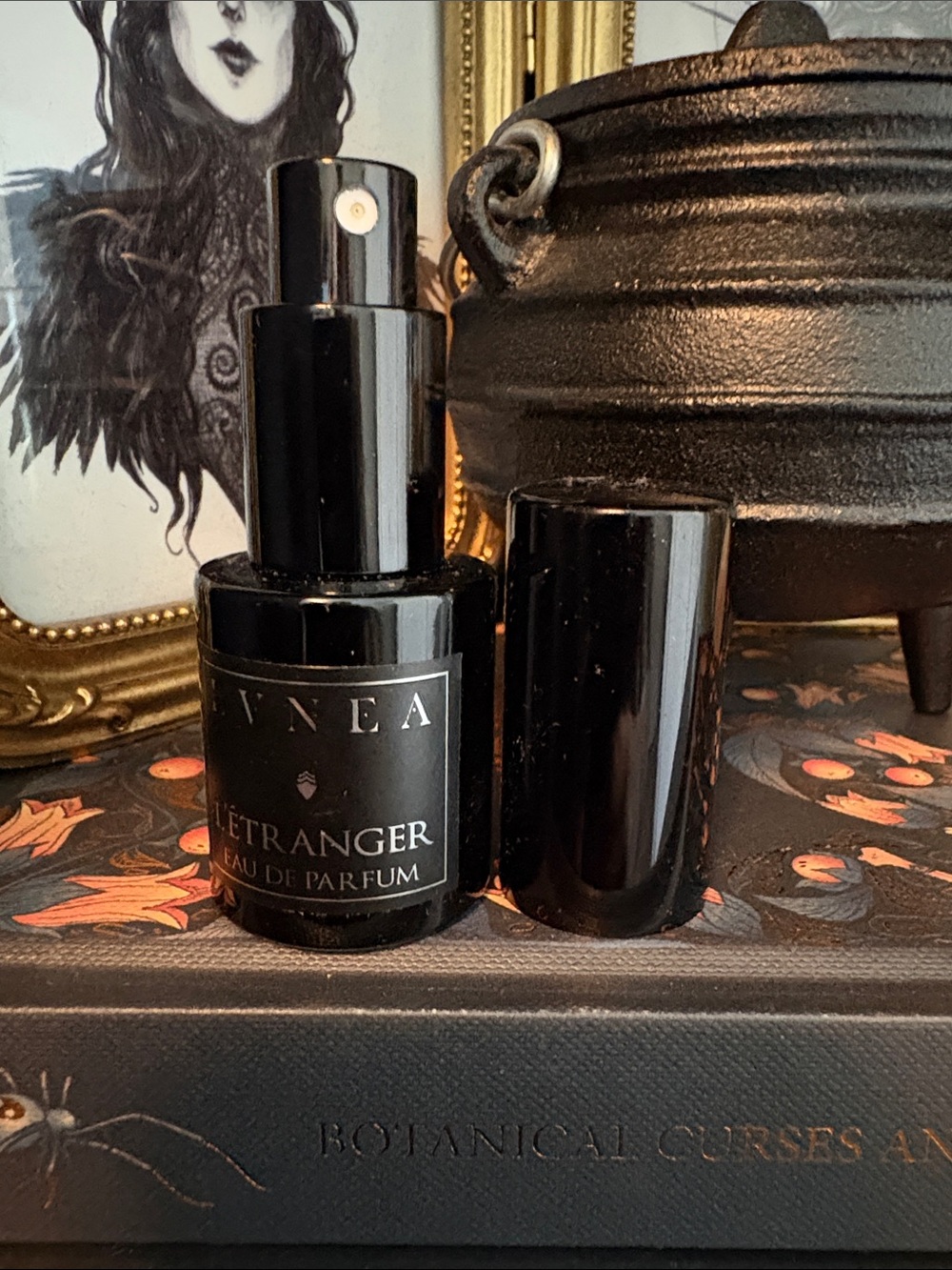 Lvnea L'Étranger Eau de Parfum 15ml
